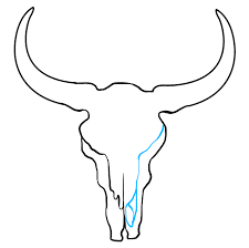 Floral skull beauty with pink and purple flowers blooming from head. How To Draw A Bull Skull Really Easy Drawing Tutorial