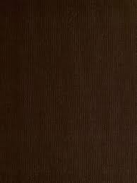 Image result for Eschenbachia ulmifolia