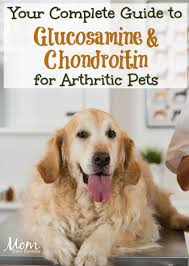 Your Complete Guide To Glucosamine And Chondroitin For Arthritic Pets Pets Dog Training Tips Agility Training For Dogs