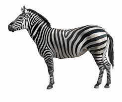 &Uuml;cretsiz Zoo Animals Clipart Siyah Beyaz, &Uuml;cretsiz K&uuml;&ccedil;&uuml;k Resim İndir ...