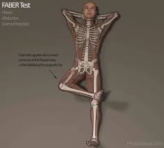 Image result for Hip Exam