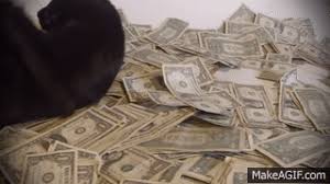 We did not find results for: A Cat Rolling In Cash On Make A Gif
