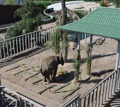 Jun 09, 2021 · напомним, вход в обновленный харьковский зоопарк, который планируется открыть после масштабной реконструкции 23 августа, будет бесплатным для жителей города харькова, однако платным для. Vizualizaciya Kakim Budet Harkovskij Zoopark Posle Rekonstrukcii Harkov Vgorode Ua