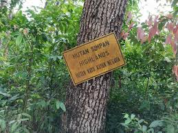 For first timer, please follow the route carefully, some paths may be misleading. Wikiloc Yee Yan Sang And Rainbow Rock Via Moon Gate 5 Trail