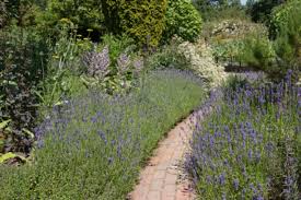 Darf ich im garten meines mietshauses ein blumenbeet anlegen? Blumenbeet Anlegen Blumenarten Planung Vorbereitung Pflanzung