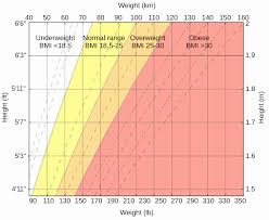 5 Foot 3 140 Pounds Bmi Chart Or Hunger And Eating
