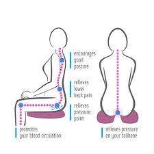 Pelgrip Duo Balance Cushion Postures Posture Corrector How To Relieve Stress