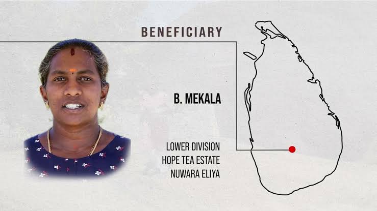 B. Mekala, a tea estate worker supported by the UNDP project., AI generated
