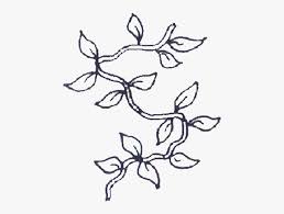 1241x1600 coloring pages for kids. Clip Art Simple Vine Drawing Vines Coloring Page Free Transparent Clipart Clipartkey