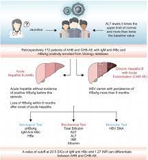 In acute infection, some may develop a rapid onset of sickness with vomiting, yellowish skin, tiredness, dark urine, and abdominal pain. The Dilemma Of Differentiating Between Acute Hepatitis B And Chronic Hepatitis B With Acute Exacerbation Is Quantitative Serology The Answer