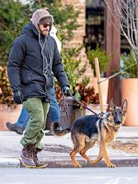 These big, athletic pups are known for their abilities as guard and service dogs, and also for their energetic spirit and loyalty to their owner. Stars And Their Pets Barkpost