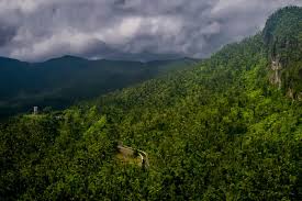 Visit El Yunque National Forest Discover Puerto Rico