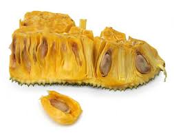 .(nangka celeng) nangka cempedak nangka dulang nangka kandel nangka kunir nangka merah nangka mini nangka salak. Jackfruit