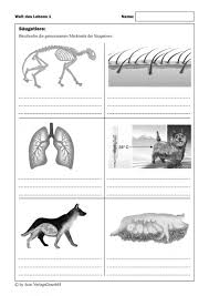 Hannl Kopeszki Renauer Digitale Unterrichtsmaterialien Arbeitsblatter Und Losungen Pdf Free Download