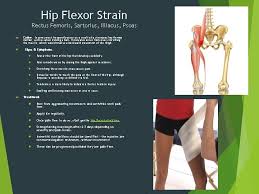 • pain in groin over weeks or months • hip/knee pain during prom,arom; Injuries Of The Thigh Hip Groin Pelvis Chapter