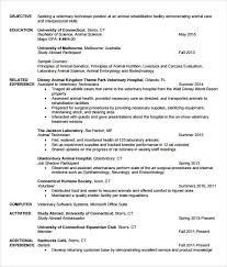Resume Examples Tamu Resume Examples Resume Templates Resume Pdf