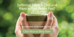 Check spelling or type a new query. The 7 Best Teas For A Cold Or Flu Sencha Tea Bar