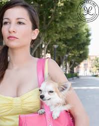 How to spot a fake service dog. How To Spot A Fake Service Dog It S Me Laura Lee