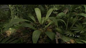 Image result for Molineria