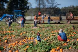 Image result for tbn:0PJB32OL7JwfOM::farm4.static.flickr.com/3324/3329876139_f2d551139f.jpg