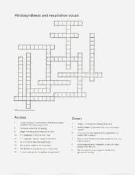 The impossible crossword puzzle quiz answers. Crossword Puzzle On Photosynthesis And Respiration With Answer Key