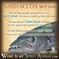 No need to register, buy now! Barracuda Symbolism Meaning Spirit Totem Power Animal