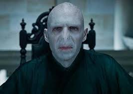 The principal harry potter book, harry potter and the sorcerer's stone, was. Lord Voldemort Wikipedia