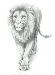 Lion Portrait Pencil Drawing Lion Art Pencil Drawings Of Animals Animal Sketches