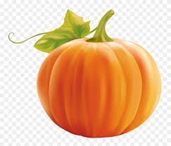 Check spelling or type a new query. Owl And Pumpkin Clipart Pumpkin Outline Clipart Stunning Free Transparent Png Clipart Images Free Download
