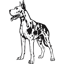If your child loves dogs, introduce him to the great dane with this simple coloring page. Great Dane Coloring Pages Free Printable Coloring Pages Great Dane Coloring Home