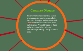 Genetic Disorder Project Canavan Disease By Nicole Ransom