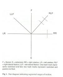 Rom Chart Cervical Spine Related Keywords Suggestions