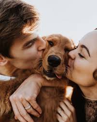 5 Ways How To Show Your Dog Love That They Can Understand Family Dog Photos Dog Family Pictures Dog Photoshoot