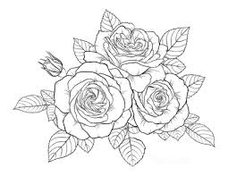 And so, i wanted to share the space through coloring pages. 112 Beautiful Flower Coloring Pages Free Printables For Kids Adults
