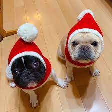Cute Christmas Winter Beanie Christmas Dog Hat Bulldog French Bulldog