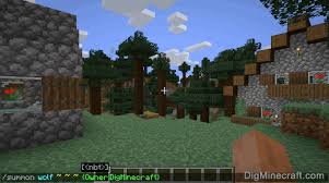 Approach the wolf and feed it by holding the object in your hand and pressing the action button. How To Summon A Tame Wolf In Minecraft