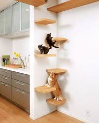 Je Tchatte Sur Les Chats Et Le Carton Jeux Pour Chat Etagere Pour Chat Mobilier De Salon