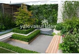 Defne Agaci Fidani Lauris Nobilis 20 25 Cm