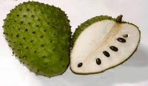 Jus ekstrak daun durian belanda. Durian Belanda Zainabs Garden