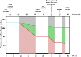 Sumbangan, assending, caruman iws, kontribusi kaos, sumbangan maksud. Yield Gaps In Oil Palm A Quantitative Review Of Contributing Factors Sciencedirect