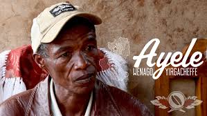 Ayele Dula: Dhudhufa — Wenago, Yirgacheffe