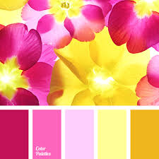 Contrasting Palettes Color Palette Ideas Color Palette Color Balance Color Schemes