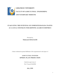 Pdf Evaluating The Potential Of Composted Banana Wastes As A Local Substrate For Growing Agaricus Bisporus