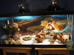 My Bearded Dragon S Habitat By Drohung Dragonninja On Deviantart Bearded Dragon Habitat Bearded Dragon Terrarium Bearded Dragon
