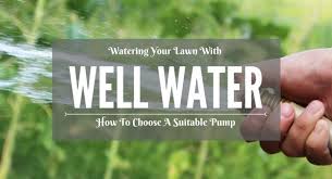 Lawns can be water hogs! Watering Your Lawn With Well Water How To Choose A Suitable Pump My Greenery Life
