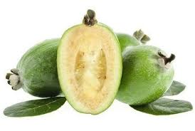 асд фракция 2 инструкция по применению для человека отзывы Fejhoa S Medom Lechit Shitovidku Green Medic Pineapple Guava Feijoa Guava