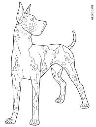 Great Dane Coloring Page Kleurplaten Kleuren Honden