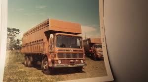 Image result for Brown 1972 Fleet