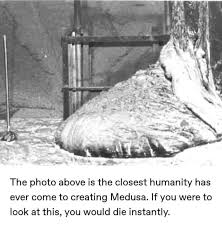 Corium, also called fuel containing. I Wanna Go Back To That Ak 47 Part Though Album On Imgur