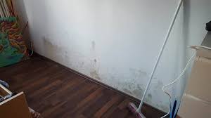 Erfahren sie, wie sie die schimmelflecken nicht nur entfernen, sondern wie sie mit hygrosan die schimmelbildung dauerhaft verhindern … Liebe Feen Wer Kann Helfen Haushaltsfee Leserin Marina Fragt Hallo Liebe Fee Ich Habe Grade Meinen Kleiderschrank Verkauft Und Flooring Tile Floor Crafts